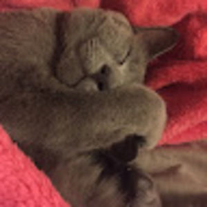 Meet your Posher, Courteney